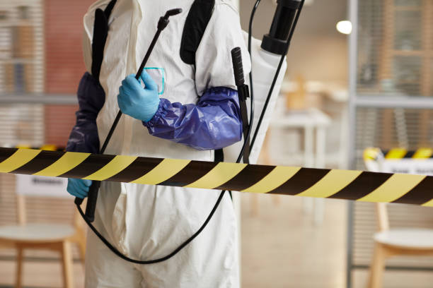 Professional Hoarding Cleanup technician working in Ocala, FL